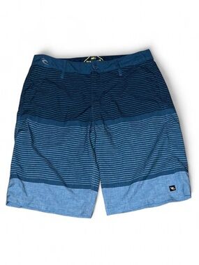 Rip Curl Boardwalk The Surfer's Walkshort Mens Striped Board Shorts 30